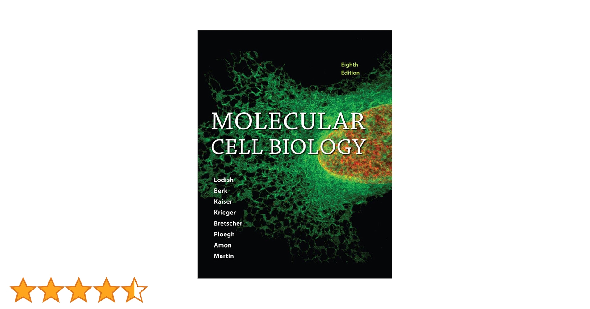 61Po5h6nQTL.jpg_BO30,255,255,